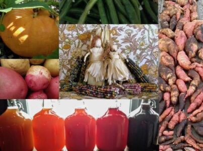 Redesigning Holidays to Fit Your Lifestyle Image